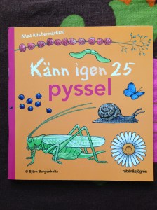 kantigen_25
