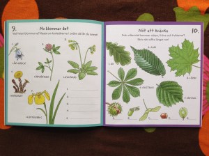 Av Björn Bergenholtz