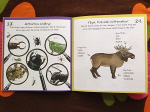 Av Björn Bergenholtz