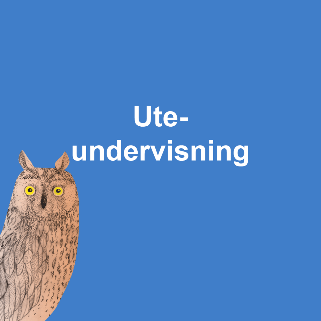 textskylt med uggleillustration